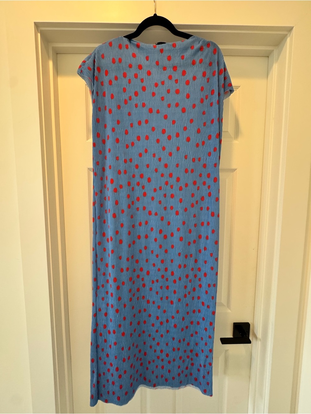 Zara Light Blue Polka Dot Maxi Dress